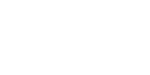 Twingo Live Show